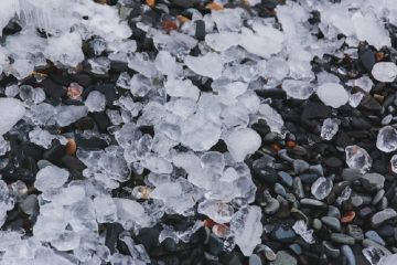 What To Do After A Hailstorm?