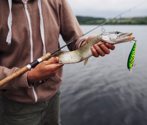 Make Your Fishing Vacation Planning Easy and Stress-Free